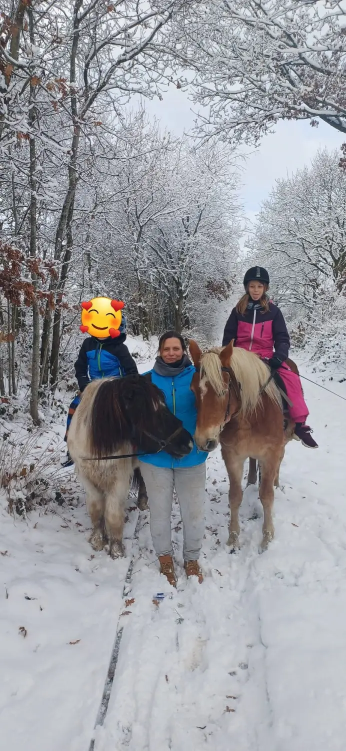 Reittherapie Seelenhalt - Reiten