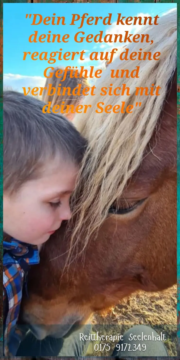 Reittherapie Seelenhalt - Reiten