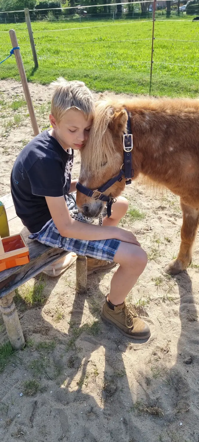 Reittherapie Seelennhalt - Reiten - Kind reitet auf einem Pferd