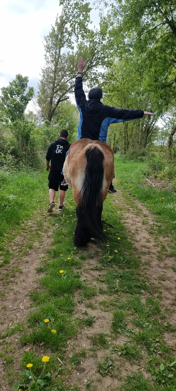 Reittherapie Seelennhalt - Reiten - Therapeutisches Reiten