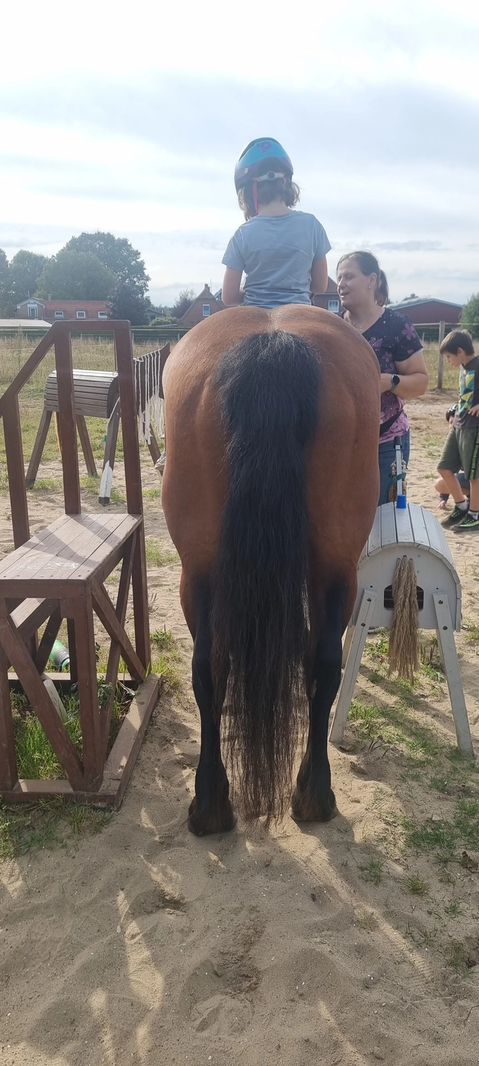 Reittherapie Seelenhalt - Reiten