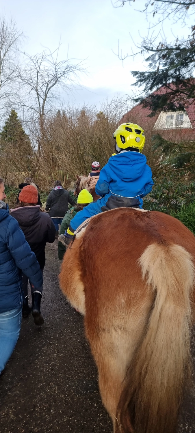 Reittherapie Seelennhalt - Reiten - Kind reitet auf einem Pferd