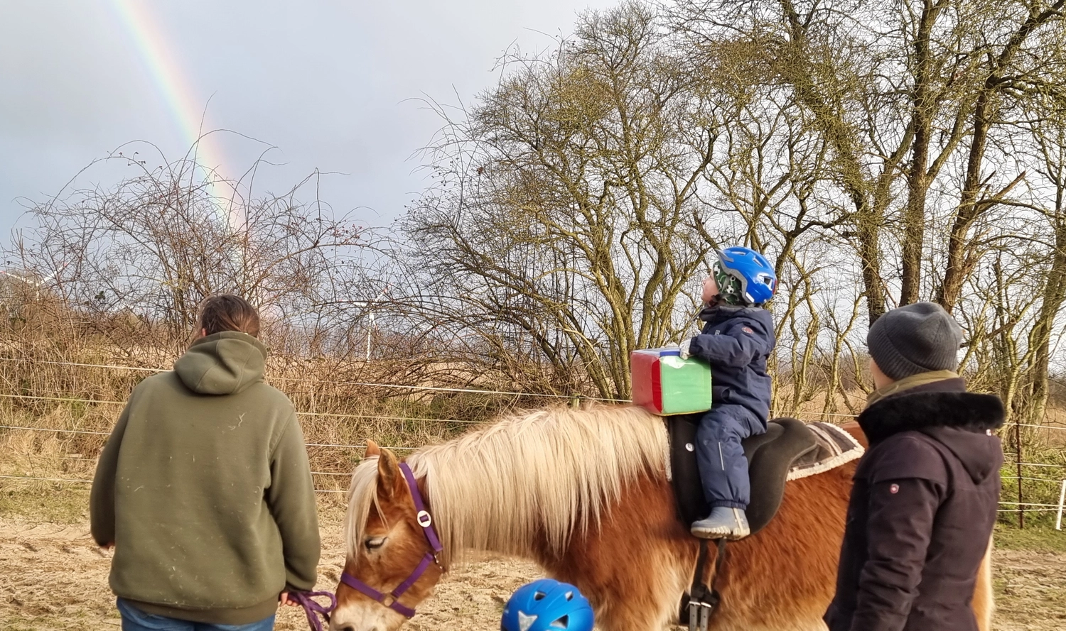 Reittherapie Seelennhalt - Reiten - Kind reitet auf einem Pferd