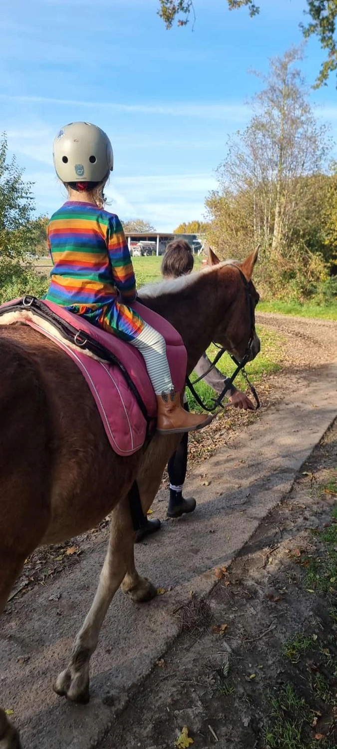 Reittherapie Seelennhalt - Reiten - Ponyreitzeit mit einem Elternteil und einem Kind