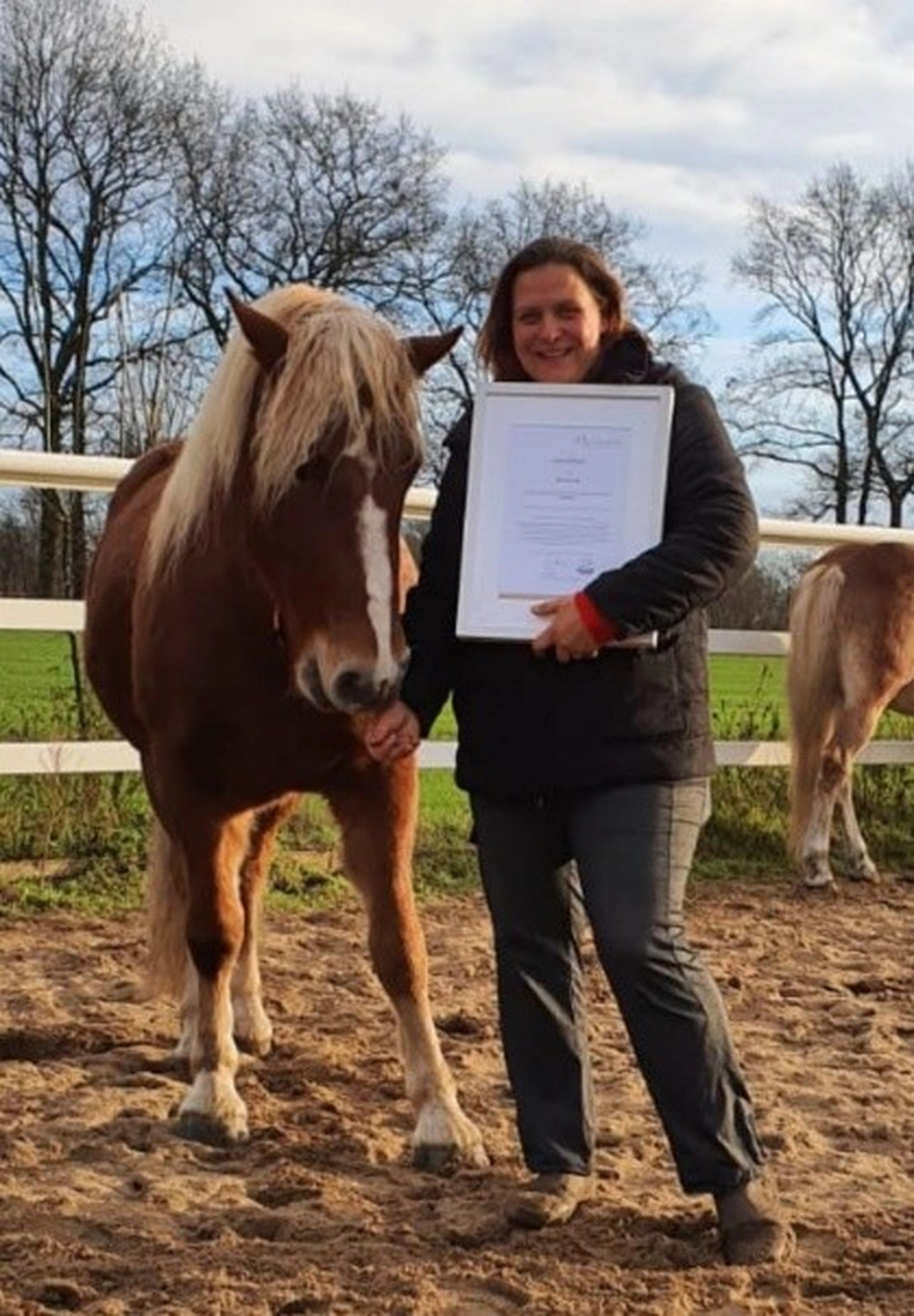 Reittherapie Seelenhalt - Jenny Johl